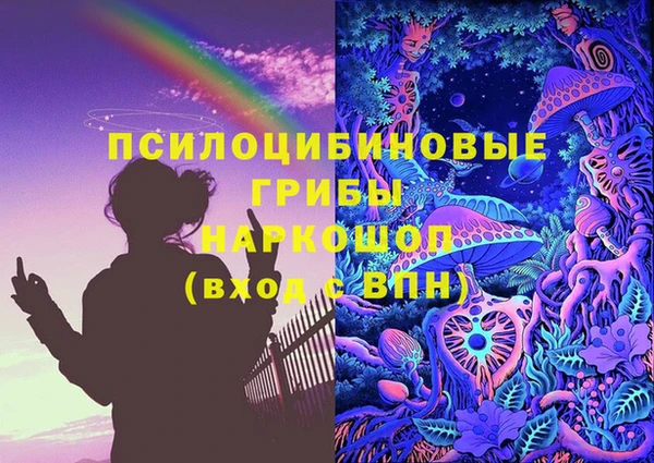 шишки Касимов