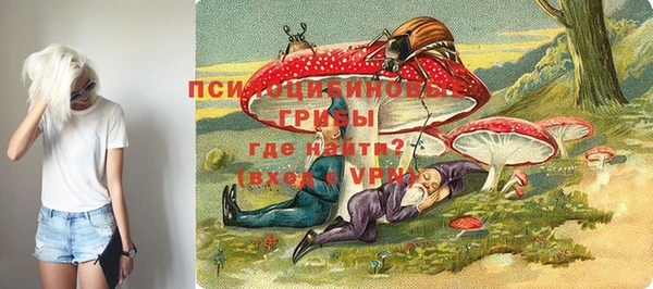 синтетический гашиш Козельск