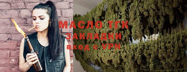 прущие грибы Каменногорск
