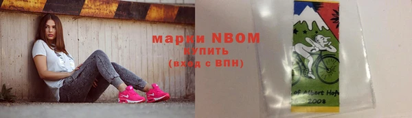прущие грибы Каменногорск