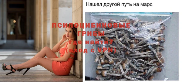 молекула духа Карпинск