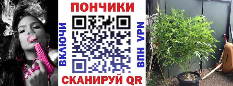 МАРИХУАНА THC 21%  Козловка 